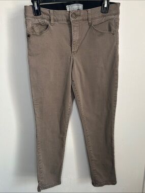 Wit & Wisdom High Waist Ankle Skinny Pants with Ab Solution Technology
